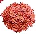 Bassion 500 Pcs Assorted Mixed Fall Autumn Colored Artificial Fake Maple Leaves for Weddings, Thanksgiving Decorations, Events and Decorating