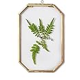 NCYP 4" x 6" Small Glass Floating Frame with Chain for Artwork Photo, Picture, Pressed Dried Flowers, Plant Specimen - Home Wall Hanging Decor, Octagon, Gold, Handmade (Glass Frame Only)