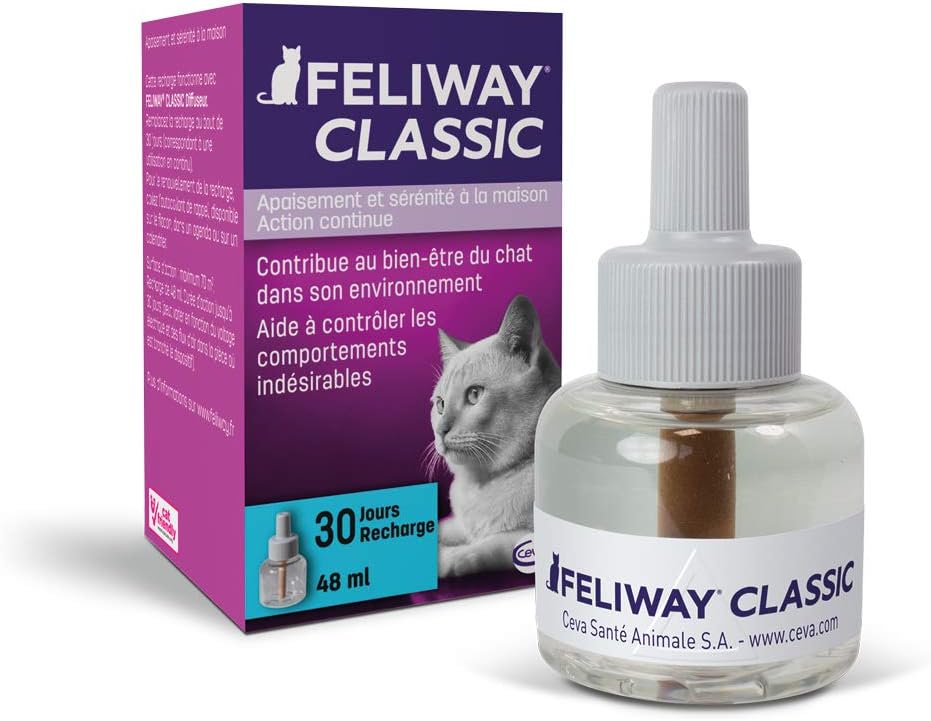 working retriever puppies