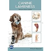 Canine Lameness