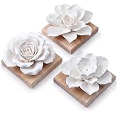 Dimsile 3 Pcs Passive Essential Oil Diffuser Stone Set, Natural Wood Tone | Magnolia Lotus Rose Shapes, Aromatherapy Passive Diffusers Stone, Wood Base Included, For Car Desk Bedroom Decor, No Oil