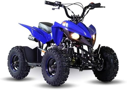 Kids Mini 50 cc 4 WHEELER ATV自動 