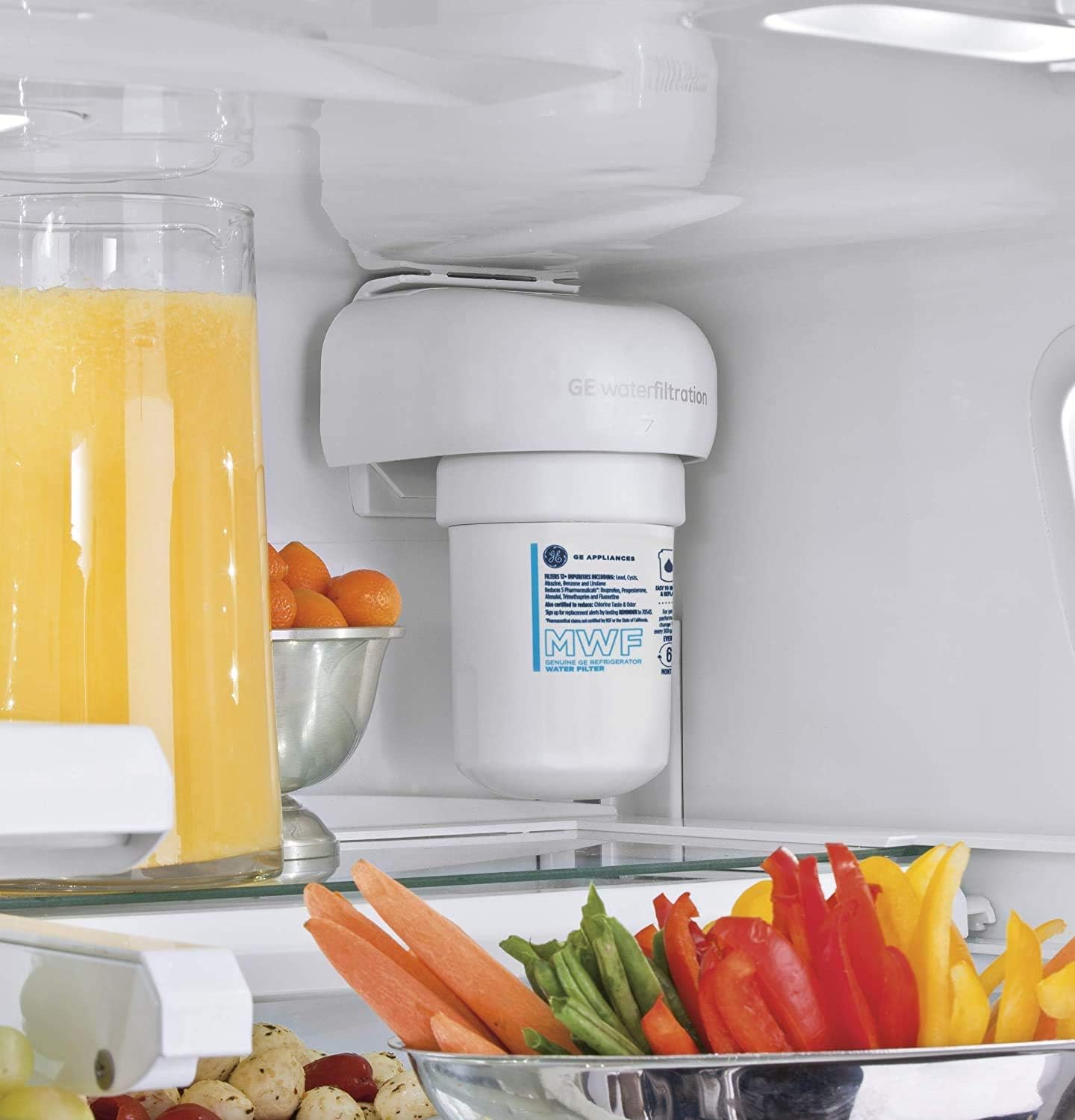 GE MWF Water Filter For GE Refrigerator, Replacement for GE SmartWater MWFP, MWFA, GWF,GWFA, HDX FMG-1, WFC1201 (2 Pack): Kitchen & Dining