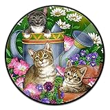 Multi-Function Mounts and Stands,Expanding Stand Grip Pop Mount Socket for Smartphones, iPhone and Tablets (Cat Group)