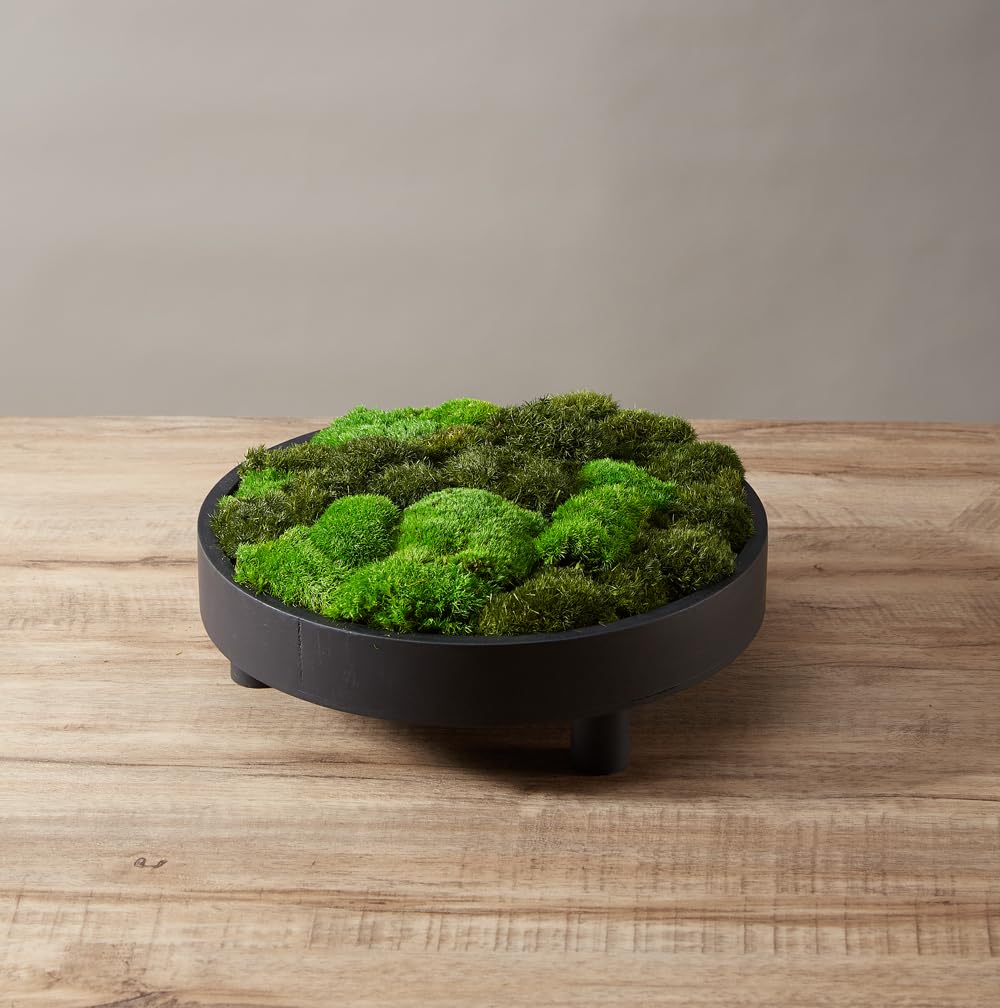 Photo 1 of prefleur 2 Color Mix Pack Preserved Pole Moss Pillow Bun Cushion Natural Decorative Green DIY Kit Art Wall Decor Florist Decor Easter Table Decor Wedding(1.5 sq.ft, Green-A,Green-B)