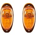 EVERESTHD 2PCS Turn Signal Light Cab Side Marker Lamp Parking Lights Fit for International Prostar, Durastar 2008-2014 Bulb & LED