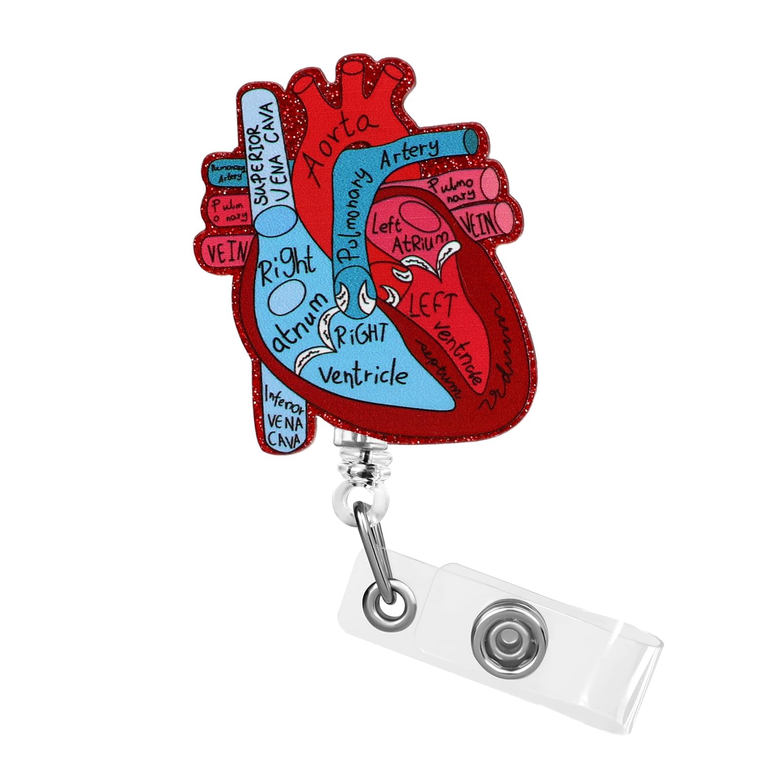 Dimeho Cardiac Badge Holder Heart Retractable Reel ID Card Clip Anatomy Funny Nurse Name Tag Holder Pediatrics Nursing Badge Alligator Clips for Doctor Student Office Medical Assistant