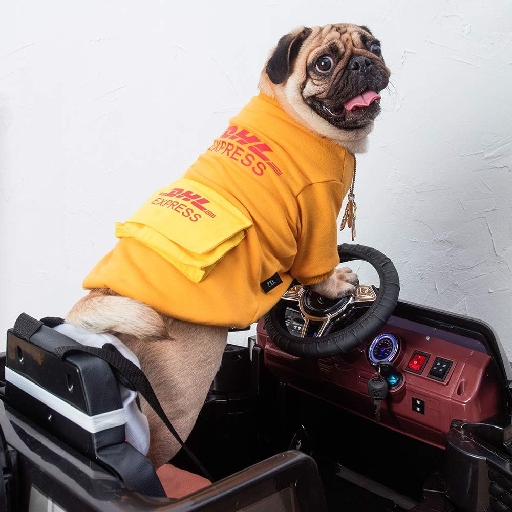 Can I Ship A Dog Through Ups