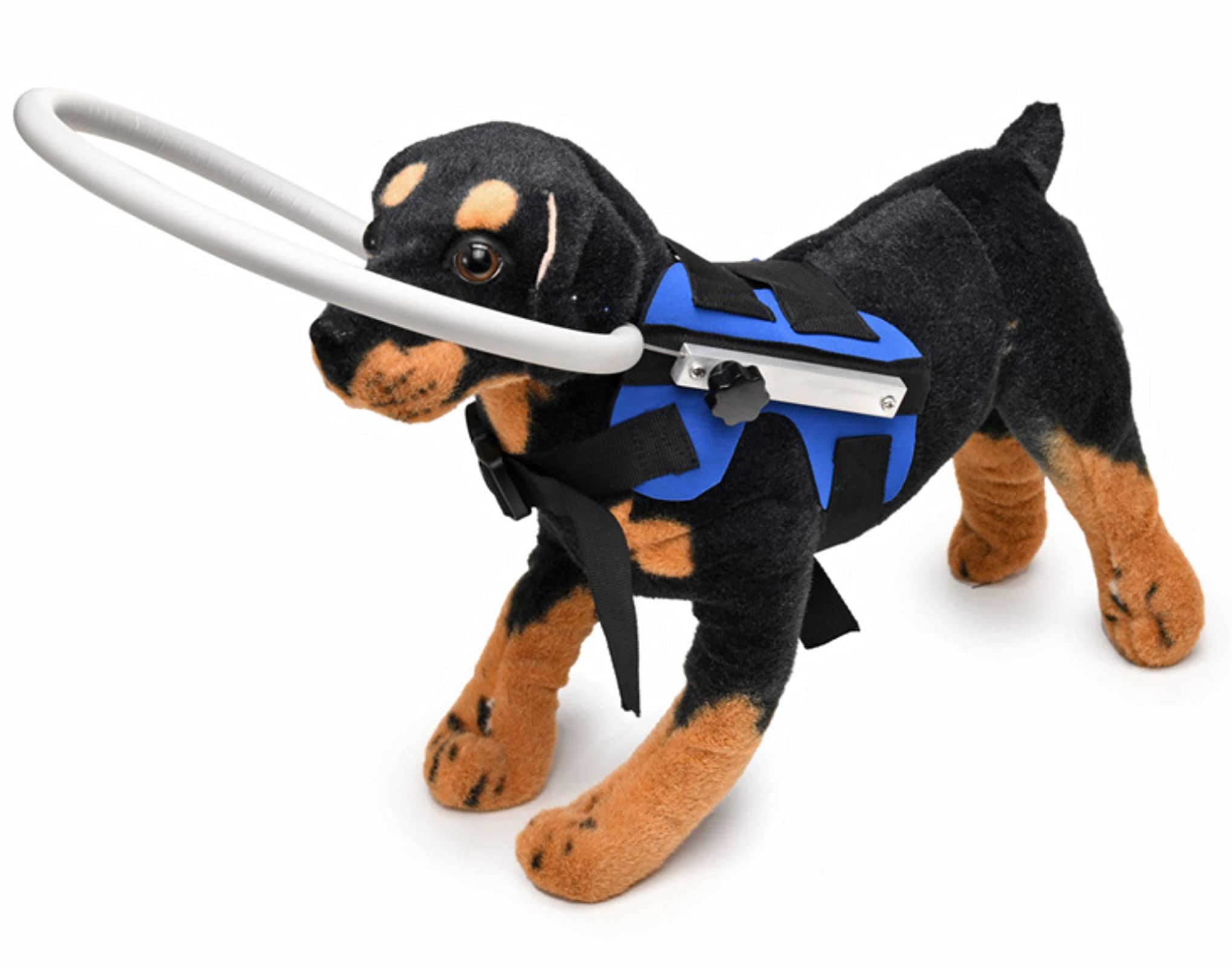 Photo 1 of GabeFish Ring Harness for Blind Dog, Lightweight Blind Ring for Pets, Blind Dog Bumper, Bump Guard for Blind Dogs Blue Small