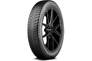 Bridgestone Blizzak LM-500 Winter/Snow Passenger Tire 155/70R19 88 Q Extra Load A