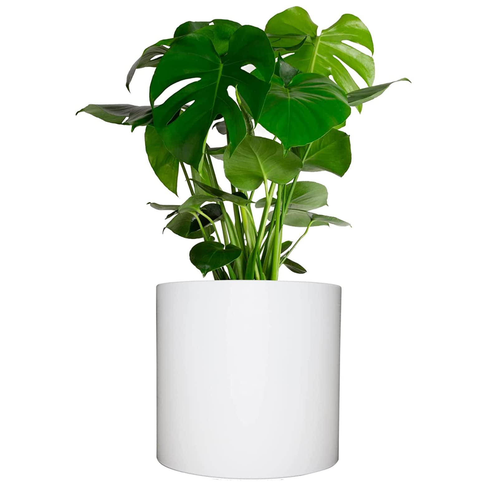 Photo 1 of Elly Décor 12 inch Round Cylinder Plastic Planter with Drainage, Round Classic Smooth Texture, Lightweight & Extremely Durable 12" x 12" Cylinder Pot White