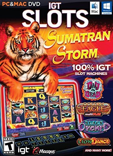 Igt Slots Sumatran Storm