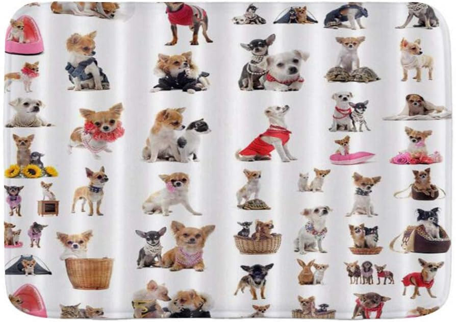 AoLismini Alfombra de Alfombra de baño, Lindo Perro Mascota de