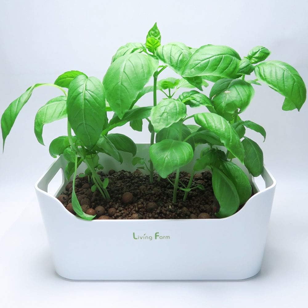 Amazon リビングファーム 水耕栽培 ハイドロボール 育苗 育成hbキット 種なし 土不要 簡単 ハイドロボール ハイドロトン で苗を育成するキット Lhs 090 ガーデン