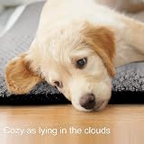 Onarway Extra Large Dog Bed Mat 122x76cm Sherpa Non-Slip Cushion view 5