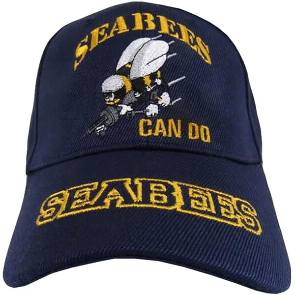 USAF Air Force CMSgt Chief Master Sergeant E-9 Retired Hat Cap - Foto 10