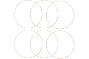Auvoau 6 Pack 8 inch Metal Crafts Hoops Wreath Floral Macrame Ring for DIY Dream Catcher,Wedding Decor and Wall Hanging Crafts (8 inch)