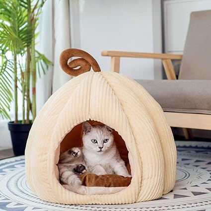 Yunnasi Niche Chat Maison Pour Chat Dome Pour Chat Ou Petit Chien Lit De Chat Avec Coussin Amovible 47x37cm Beige Amazon Fr Animalerie