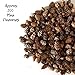 Natural Brown Pinecones - About 375 Pieces (1/2 lb. Bag) - Assorted Sized Pine Cones - DIY Crafts Measures from 1/4