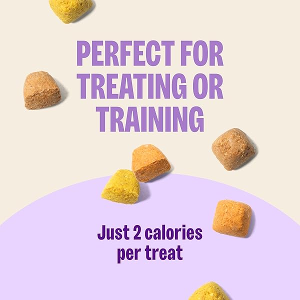 WELLNESS OLD MOTHER HUBBARD TRAINING BITZ ASSORTED MIX DOG TREATS, NATURAL BISCUITS, 3 FLAVORS, 8 OZ BAG