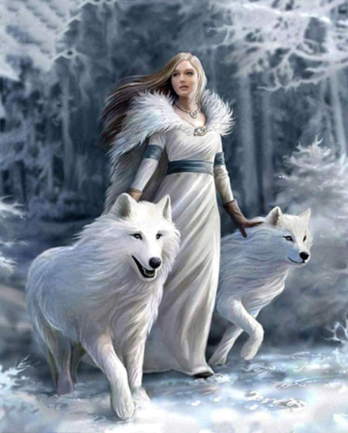 manyile DIY 5D Diamond Painting Kits,Full Round Drill Embroidery Paintings Pasted Pictures Cross Stitch Arts Crafts Perfect for Relaxation and Home Wall Decor(Beauty Fairy Snow Wolf,30 * 40cm)