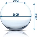 Amtra Crystal Globe 30 cm Hand Blown Glass Fishbowl Aquarium view 2