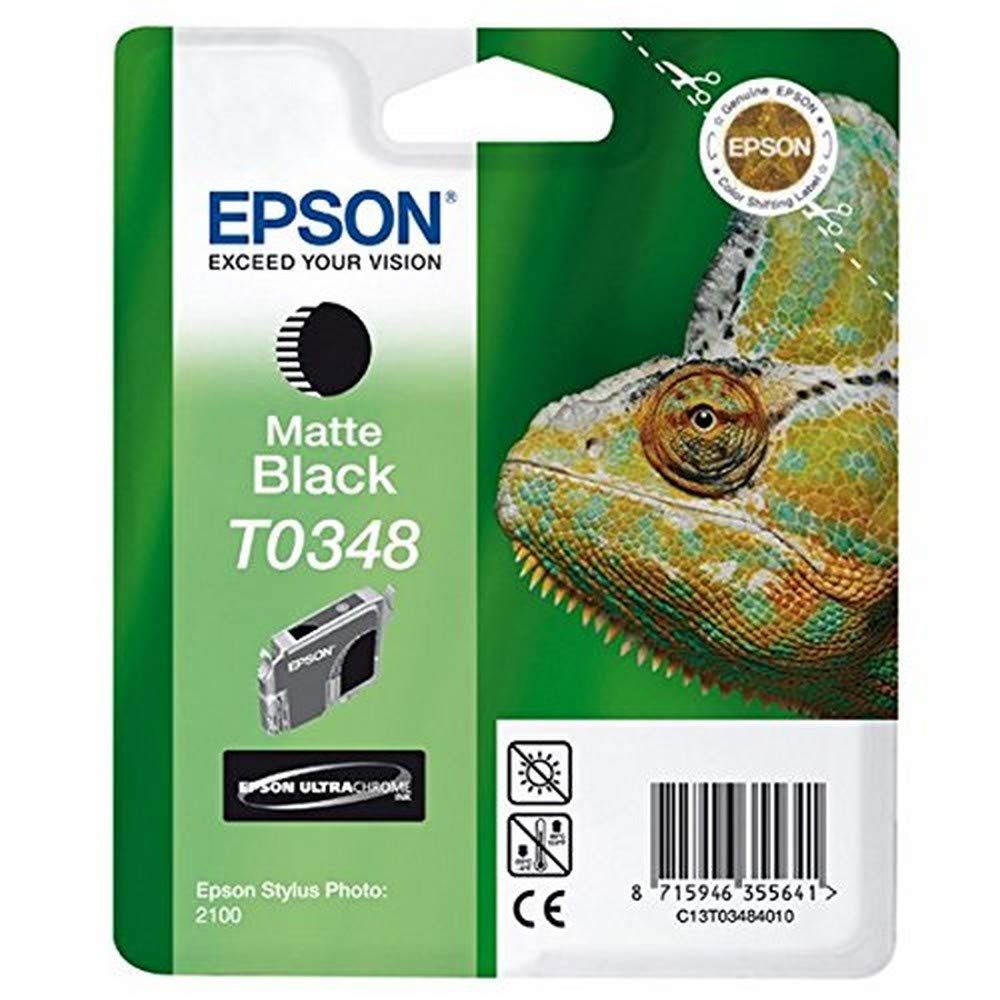 Epson Ink Cartridge for Stylus Photo 2100 - Black Matte