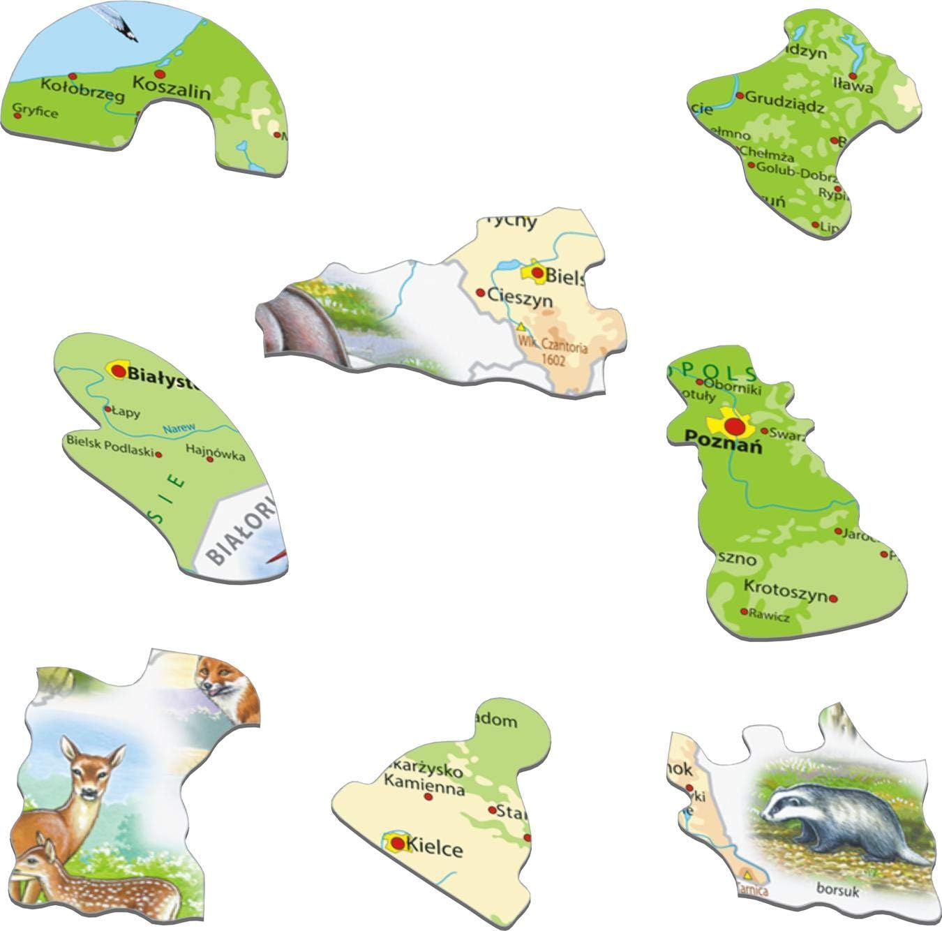 Larsen K98 Poland Physical Map Jigsaw Puzzle, Earthy Greens, Blues, Browns, Whites, Bright Colors, 61 sztuk - Image 4