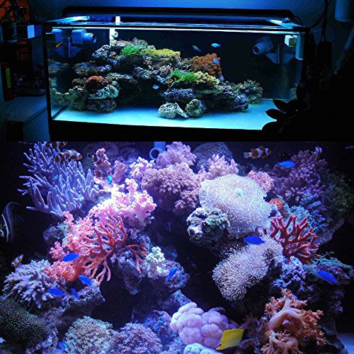 coodia aquarium hood lighting