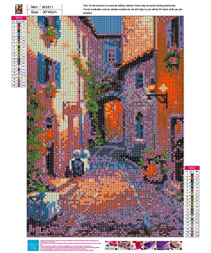 DIY 5D Diamond Painting Kits for Adults Full Drill, Paintings Pictures Arts Craft for Home Wall Decorï¼Œ5D Painting Diamonds Kit Street(11.8 x 15.8 in) (Street)