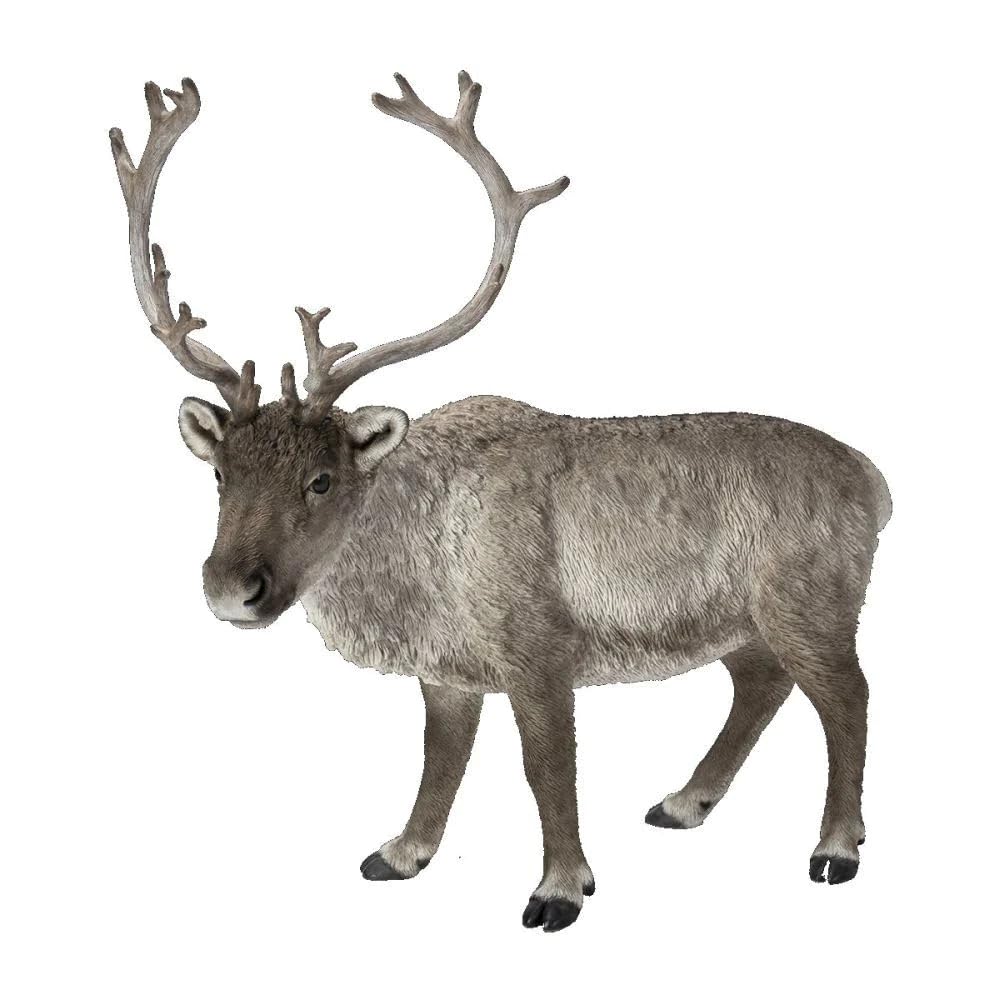 Vivid Arts - Real Life Reindeer Home or Garden Decoration (XRL-REIN-D)