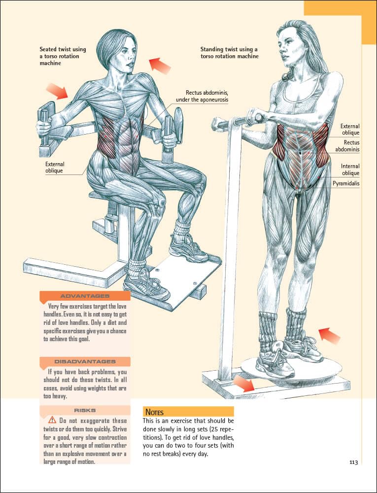 Delavier's Core Training Anatomy
