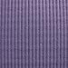 STOTT PILATES Pilates Express Mat (Deep Violet) 0.4 inch / 10 mm