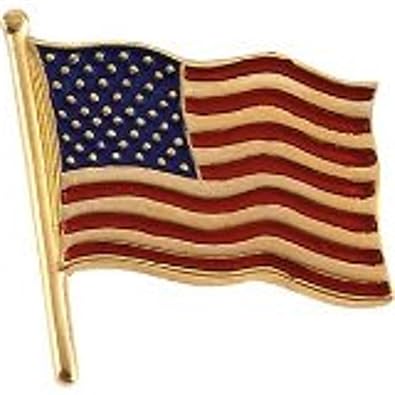 Image result for photo of an American flag pin with gold