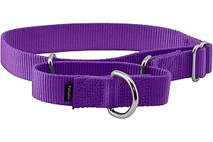 PetSafe Adjustable Martingale Collar - Only Tightens When Dogs Pull, Prevents Slipping Out - Helps with Strong Pullers, Increased Control - Alternative to Choke Collar - 1", Medium, Deep Purple
