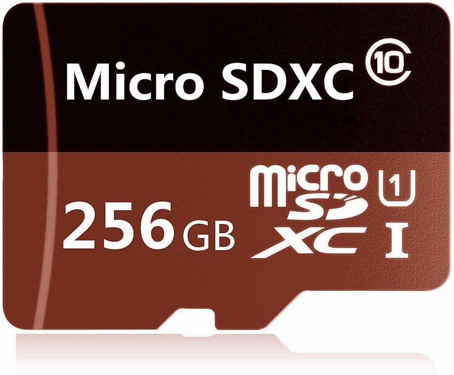 256GB Micro SD SDXC Memory Card High Speed Class 10 256gb with Micro SD Adapter, Designed for Android Smartphones, Tablets and Other MicroSDXC Compatible Devices. (256GB)