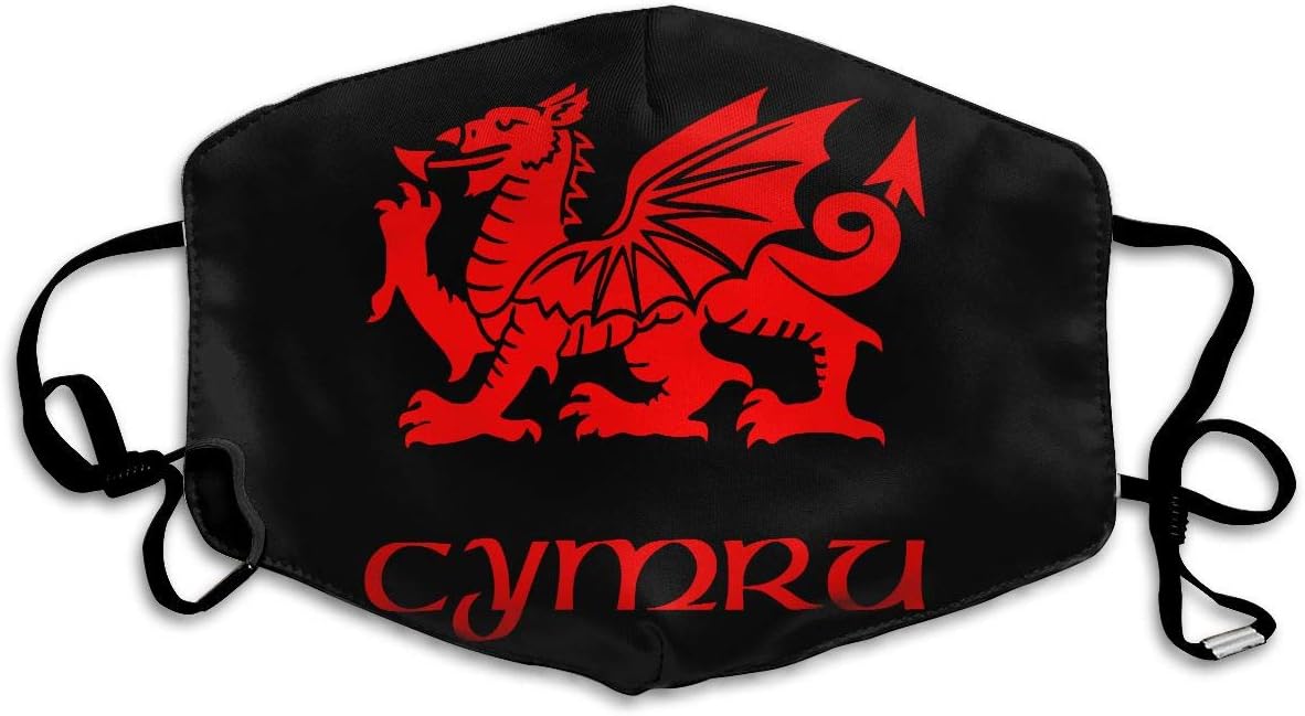 SyjTZmopre Wales Welsh Dragon Yard Flag Mouth Mask Unisex Printed Fashion Face Anti-dust Masks