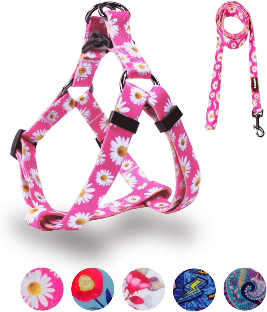QQPETS Dog Harness Leash Set, Adjustable Heavy Duty No