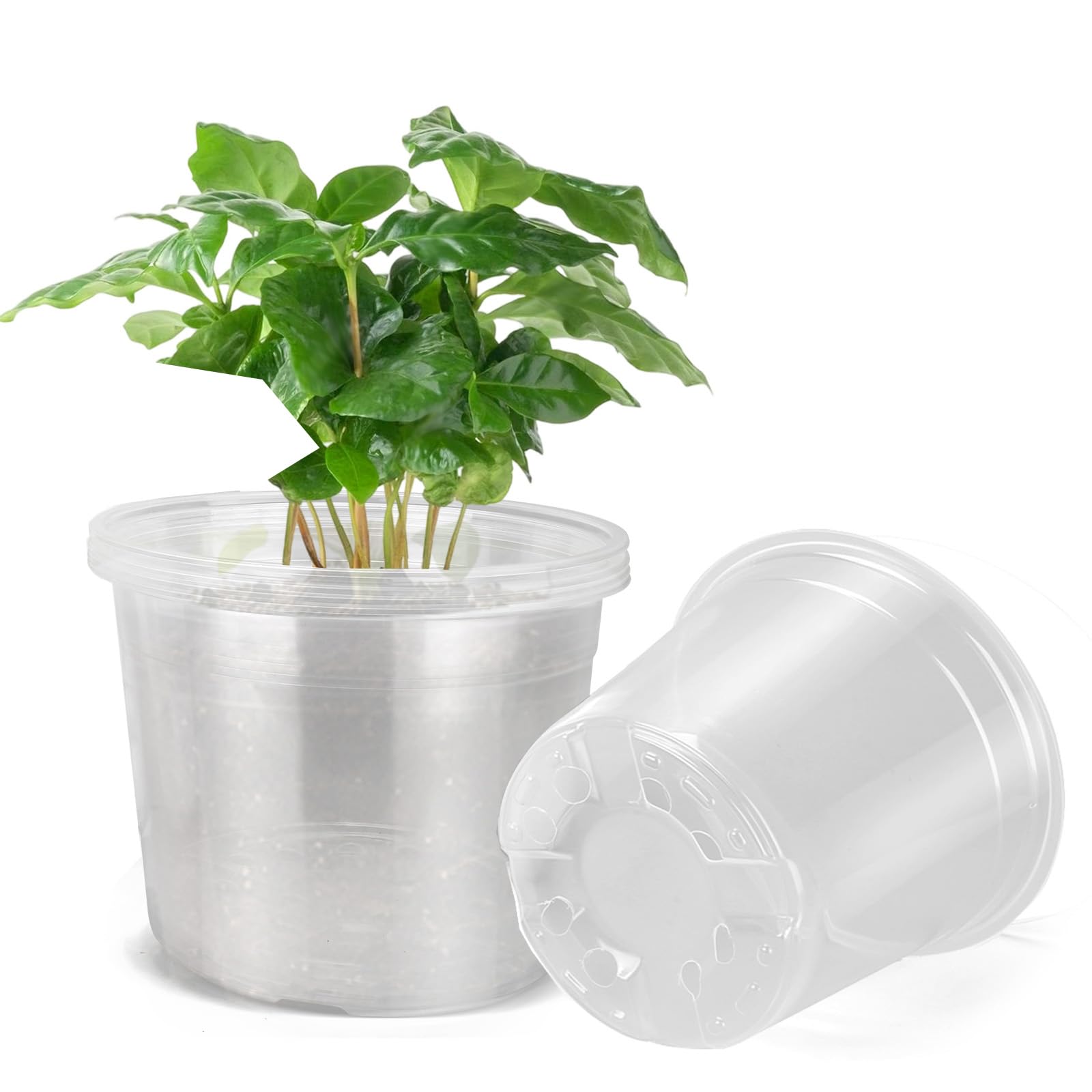 Photo 1 of DUNPUTE 10 Inch Large Clear Nursery Pots with Drainage, 5 Pack Plastic Pots for Plants, Ideal Seedling Pots and Plant Pots for Vegetables, Orchids, Aloe, Indoor Outdoor Use (10 inch-5 Pack)