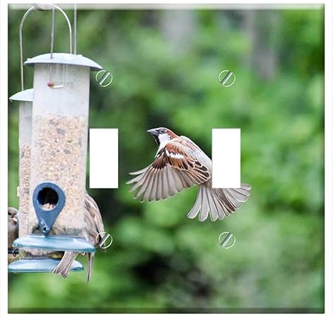Amazon Com Switch Plate Double Toggle Bird Sparrow Animal
