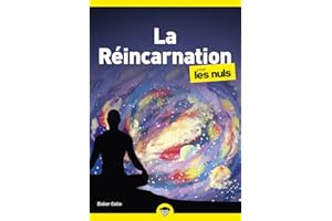 La réincarnation pour les Nuls, poche