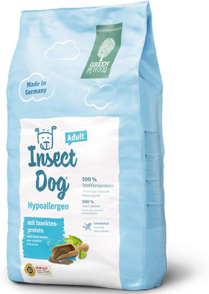 lizards that look like dragons