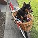 Rear Mount Willow Bicycle Basket with Safety Cage – Hand Crafted By Beach and Dog Co (Myrtle Beach)thumb 4