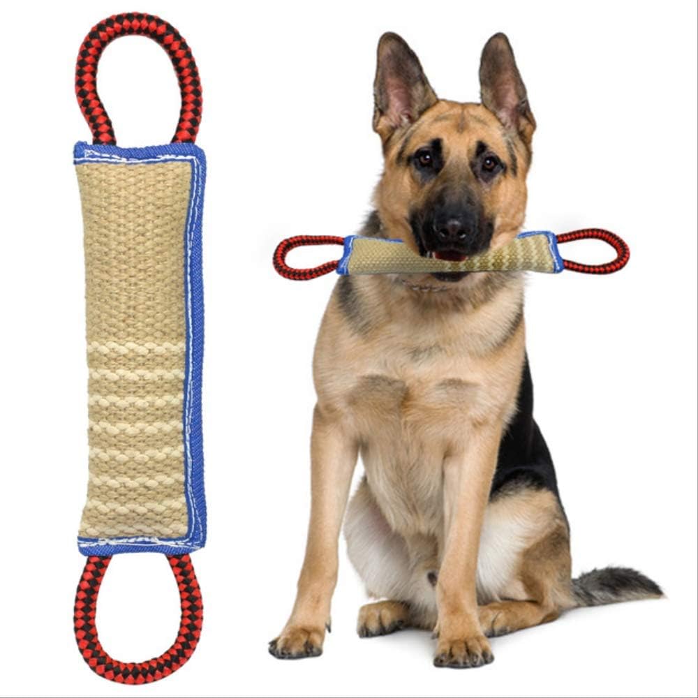 guard dog training equipment