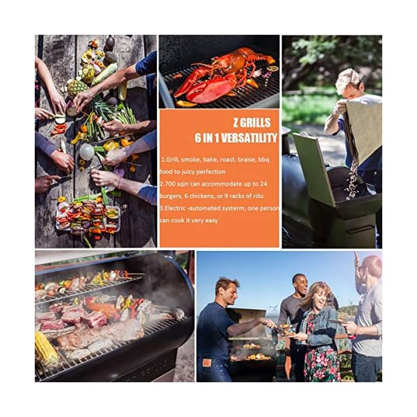 Z GRILLS Wood Pellet Grill Smoker with PID Control, Rain Cover, 700 sq