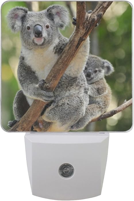 Naanle Set Of 2 Australian Koala Bear With Baby Or Joey In