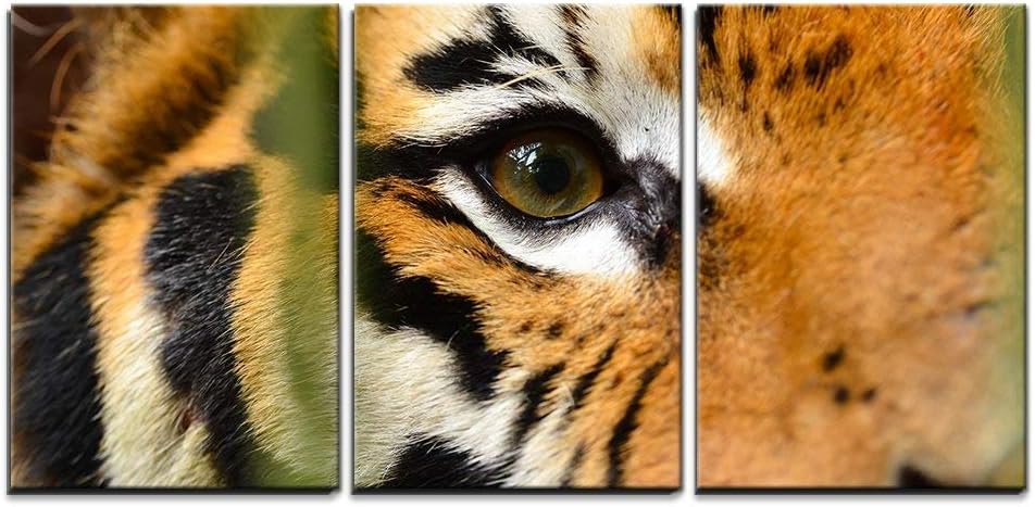 Amazon Com Wall26 3 Piece Canvas Wall Art Close Up Of Tiger