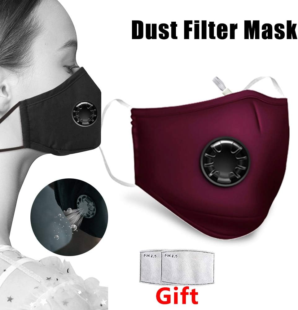 Dust Mask Mouth Respirator Anti PM2.5 Air Pollution Smoke Breathing Mask with 2 replaceable filters, Carbon Activated Air Filter Face Mask for Outdoor Sports
