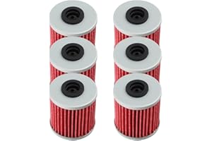 AloneGoer 6pcs HF207 Oil Filter Compatible with Kawasaki KX250 KX250F KX450F RMX450Z RMZ250 RMZ450 Beta EVO 250 300 ‎52010-61125