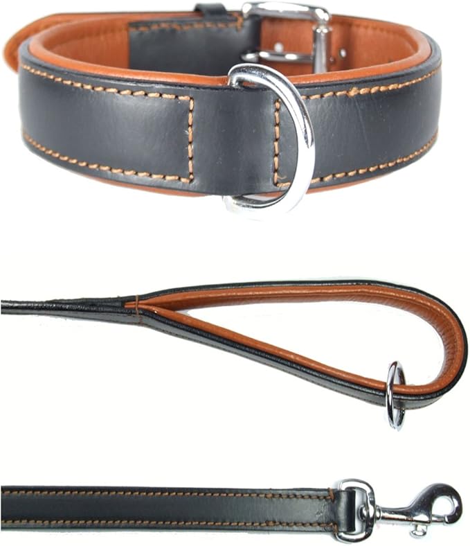 Ace Dog Collars Set Comfy Padded Leather Collar (18" Collar Will Fit
